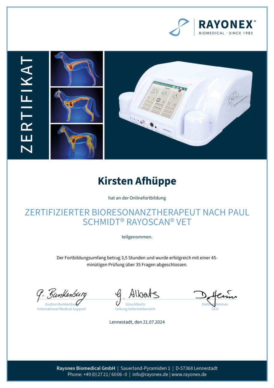 Bioresonanztherapie-Zertifikat nach Paul Schmidt - Rayonex-Scan
